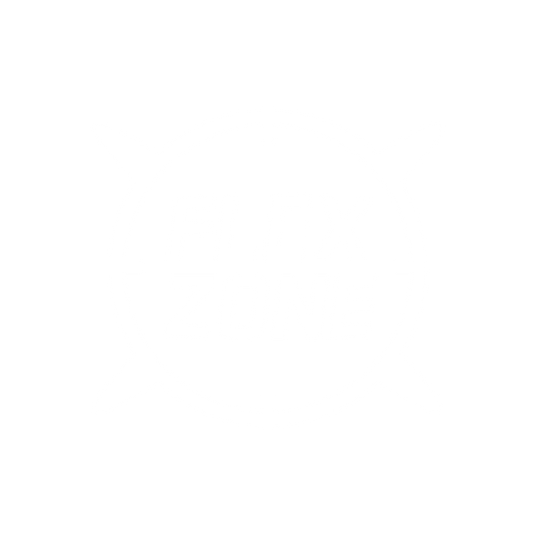 Flex Zone Disc Golf